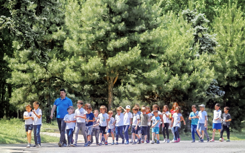 Kindergarten children in the park